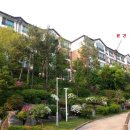 황골온누리 약국 이미지