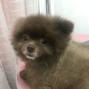 개릿뷰티 이미지