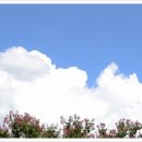 국립광주박물관 이미지