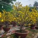 시장 앞 공터 이미지