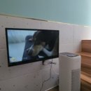 벨라몽 애견호텔 이미지