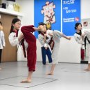 에이스 승무 태권도 이미지