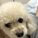 구리휴게소 이미지