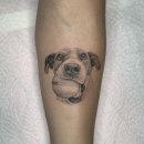 JUST DOG 이미지