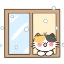 아트라인의원 이미지