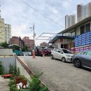 새별약국 | 원주 백피부과 주차장 위치