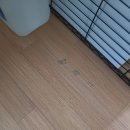 잉크마루