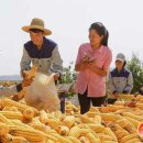 긴등농장 이미지