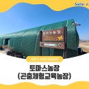 토마스농장 이미지