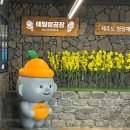 (11/25)초콜릿 컵케이크 이미지