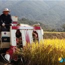 이기수농장 이미지