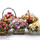 세시봉콘서트 이미지