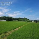 장성공인중개사사무소 이미지