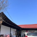 피자제이(J) 티스토리