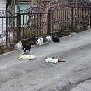 이천 조용하고 힐링하기 좋은 펜션 나무요일 레드요일 방 후기!