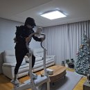 빨래천국 | 엑사이더 스텝퍼 일주일 사용 가정용 천국의계단 효과 찐 스텝퍼 다이어트 후기