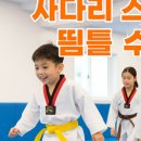 153태권도장 이미지
