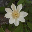 청풍중학교 이미지