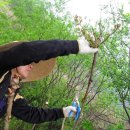 안계농장 이미지