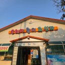 발섬6길 | 광양 중마동 맛집 산해미활어회센타 회식 후기 제철 도다리회의 진수와 지리는 매운탕까지!