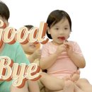 헬로키즈풀빌라 이미지