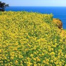 위고고남해 이미지