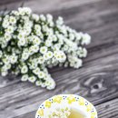 한방꽃차 소믈리에 교육과정 이미지