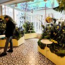 조미영농장 | 3월 무료 전시회추천, 플롭스인아트 가로수길 전시 &lt;초록의 사이&gt; (언타이틀 플랜트/ 김봄 작가)