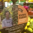 하와이마트 이미지