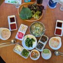 날으는산오징어 이미지