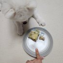 어뮤즈댕 이미지