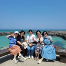 제주홍반장정돈 | 20년지기 직장동료와 함께한 감동의 제주도 승합차 투어 후기