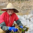 수반농장 이미지