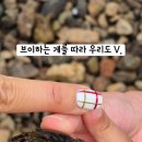 가조도다올풀빌라펜션