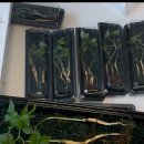 국가대표 SH 태권도장 이미지