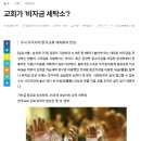 21세기 세탁 이미지