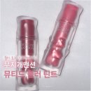 앤유개발 | 무지개맨션 뮤티드 블러 틴트 08 러비 10 모어 내돈내산 발색 후기