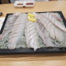 뚜껑열린산오징어
