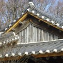 해미칼국수 이미지