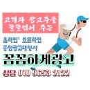CCTV | 안산전단지배포 꼼꼼하게광고하기^^ 시흥/군포/안양/과천/의왕/광명/용인