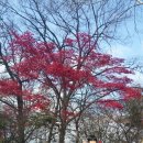 양지태권도장 이미지