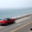 나정펜션 이미지