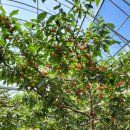 해준농장 이미지