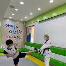 수성엘리트태권도장 이미지