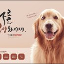 상신리코코네 이미지