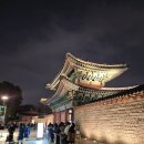 창경궁 홍화문 옆 | 고궁 야간 프로그램 2025 동궐동락 후기_창경궁, 창덕궁, 영춘문 개방