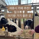 세종축산동물약품 | 세종 밀크 카페 후기 | 세종 아기랑 갈만한 곳 | 동물체험 가능한 육아 카페 추천 | 육아맘 나들이