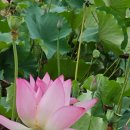 (주)건축사사무소 아라가야 이미지