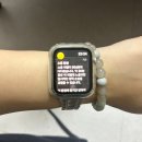 고아똥 펫그루밍 | 하루가 꼭 알찰 필요는 없잖아?- 2월,ZIP.