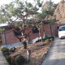 신원3로 이미지